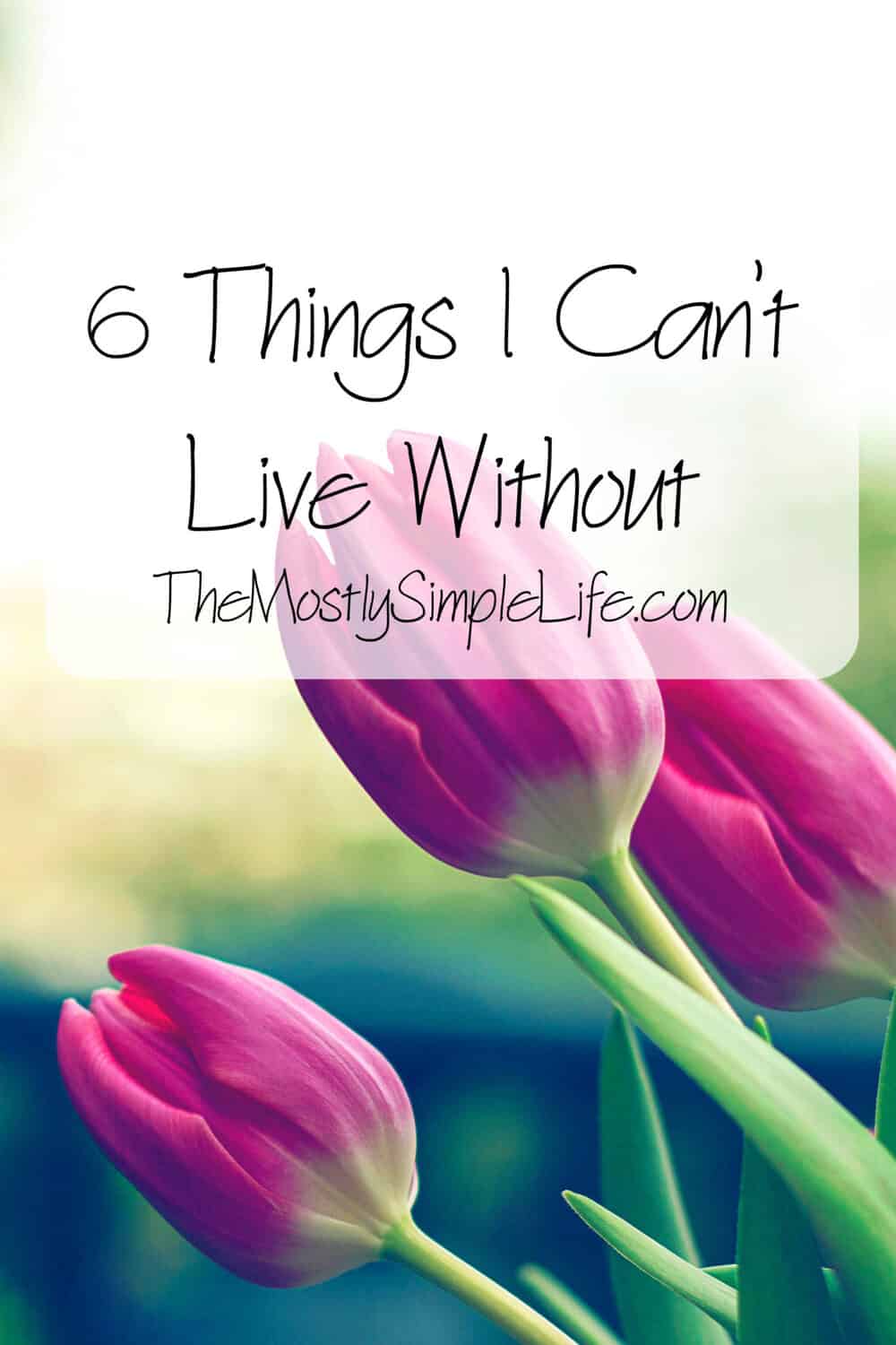 6 Things I Can't Live Without - The (mostly) Simple Life