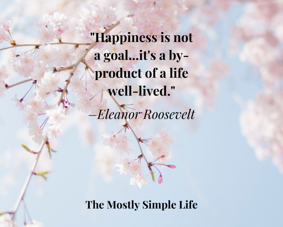 110 Simple Life Quotes To Inspire You To A Simple And Happy Life The Mostly Simple Life 3756