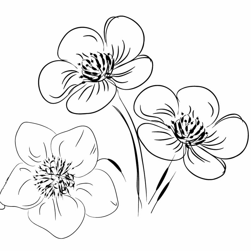 simple art sketches of flowers