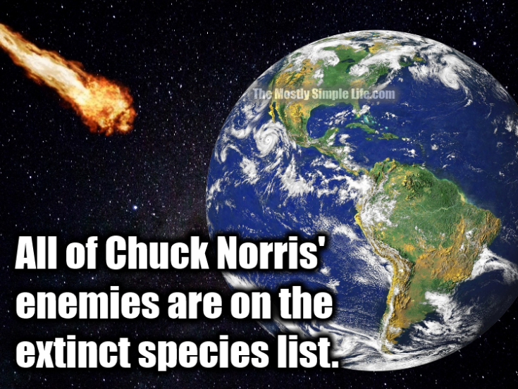 120 Most Upvoted Chuck Norris Jokes [All-Time Leaderboard]