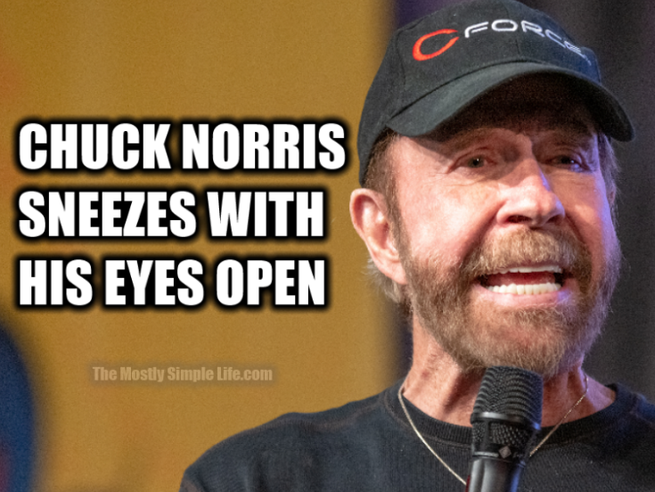 120 Most Upvoted Chuck Norris Jokes [AllTime Leaderboard]