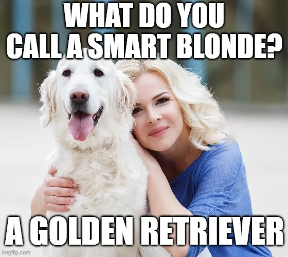 dumb blonde jokes clean