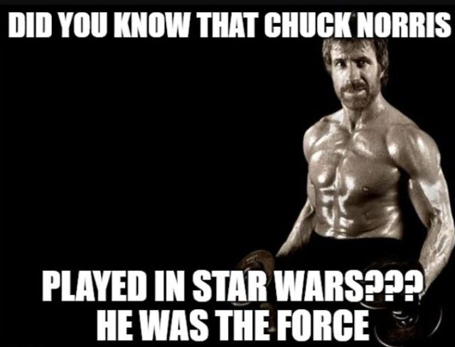 25 Funniest Chuck Norris Memes - The (mostly) Simple Life