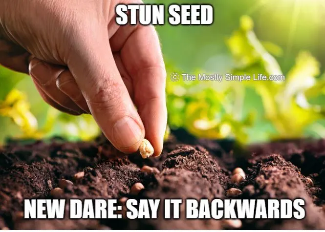 stun seed spelled backwards meme