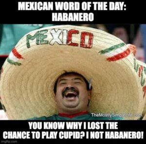 40 Funniest 'Mexican Word of The Day' Memes - The (mostly) Simple Life