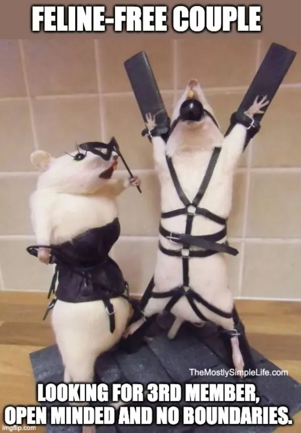 Mice couple engaged in bondage act.