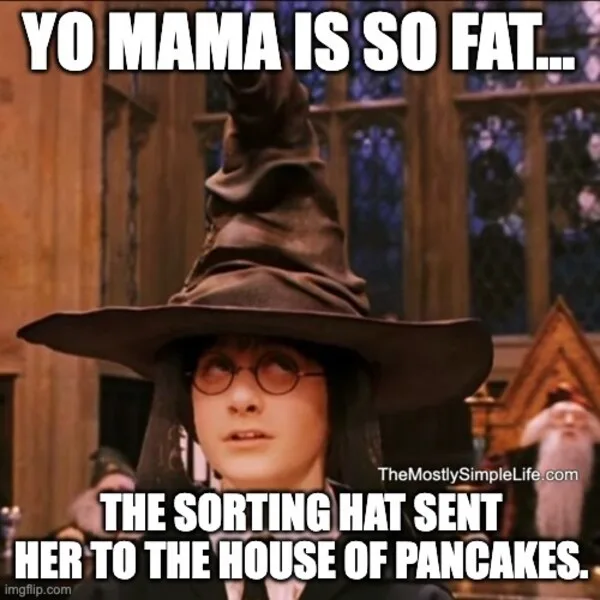 Harry Potter sorting hat.