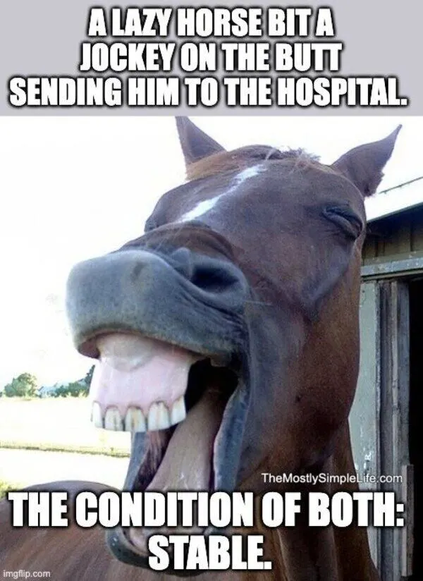 Horse Laughing.