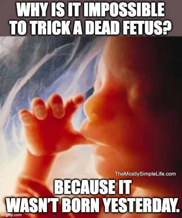 Fetus image.